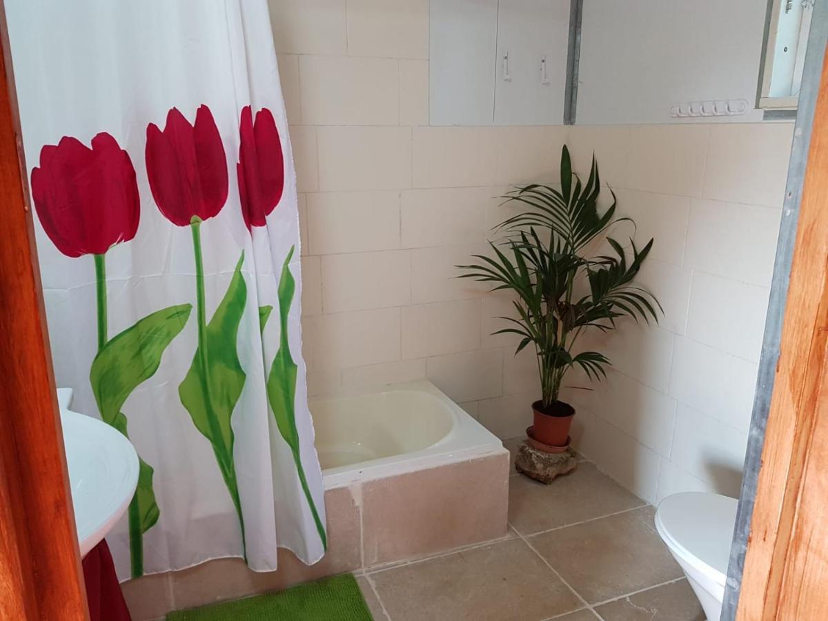 יורט מונגולי Matzuva Exterior foto